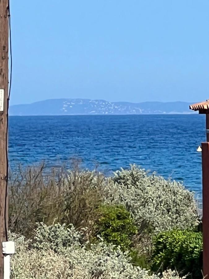 Plein Sud, Bel Appartement 20 Metres De La Plage La Capte Hyères Exterior foto